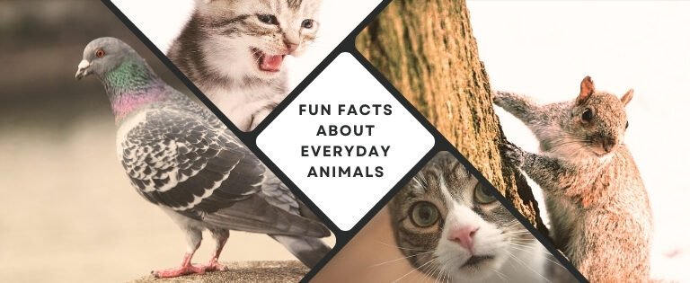 10 Things Most People Don’t Know About Common Animals